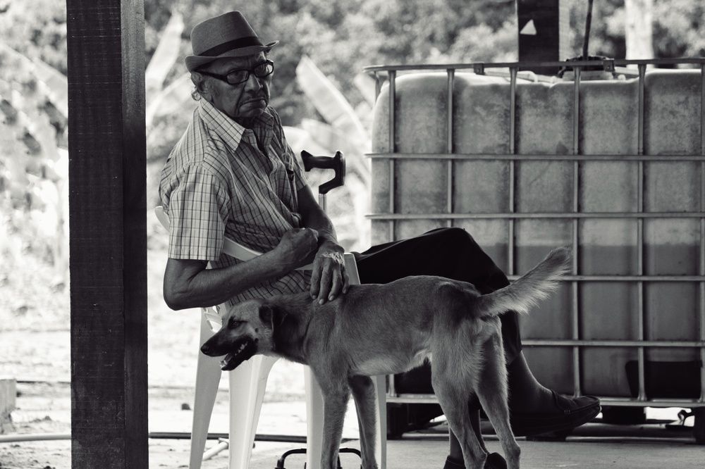 Old man with a dog