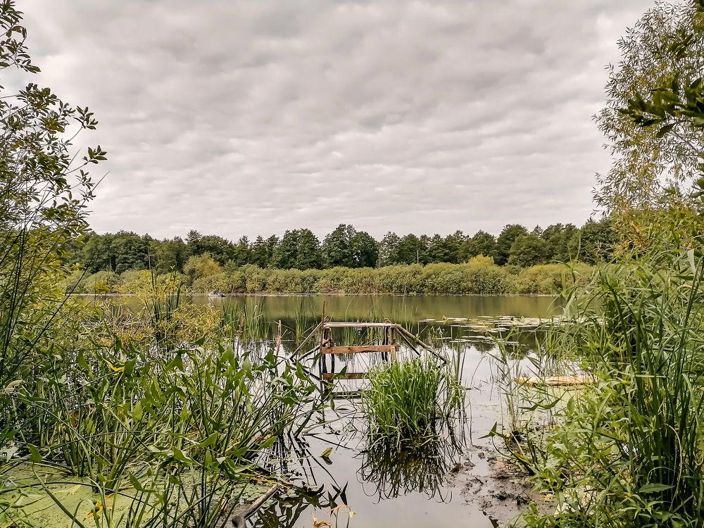 Photograph by Виктор Позняков