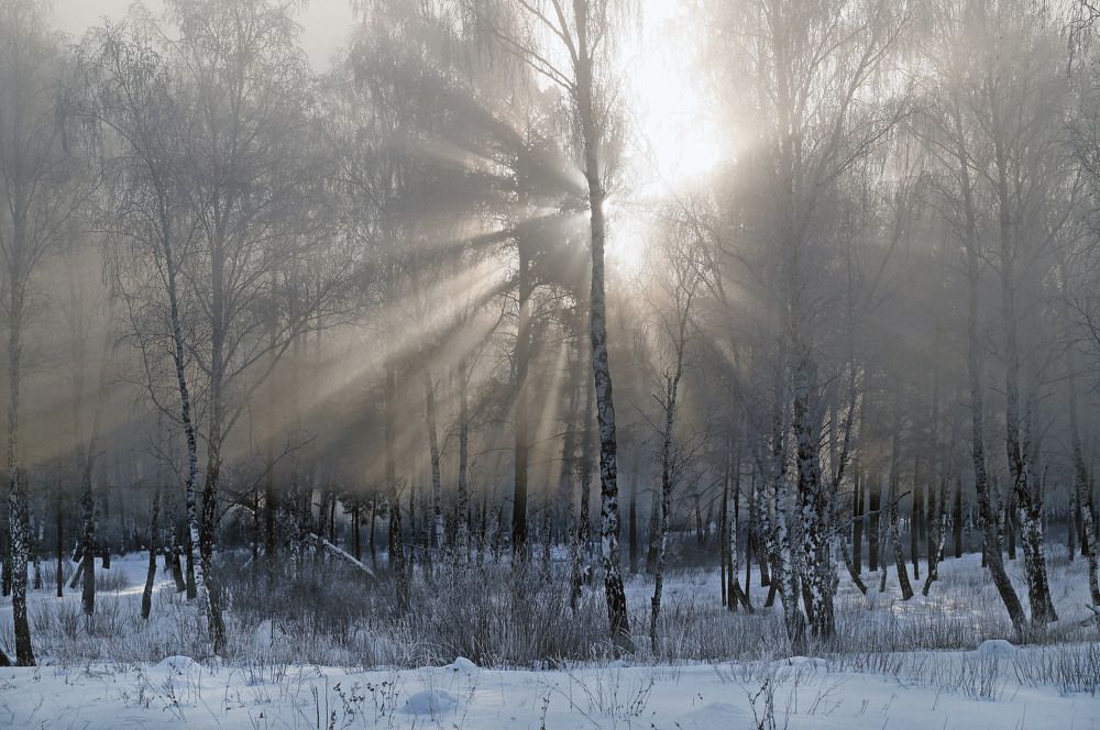 Photograph by Мишустина Татьяна