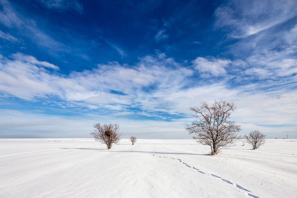 Photograph by Сергей Ларин