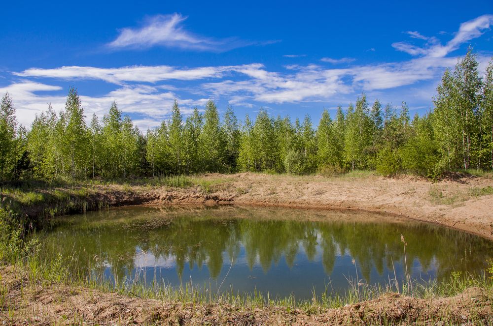 Лесное зеро - 1