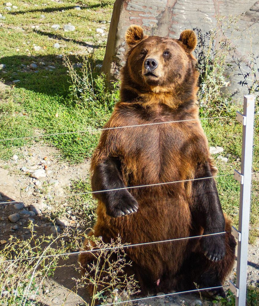 Photograph by Татьяна Раковская