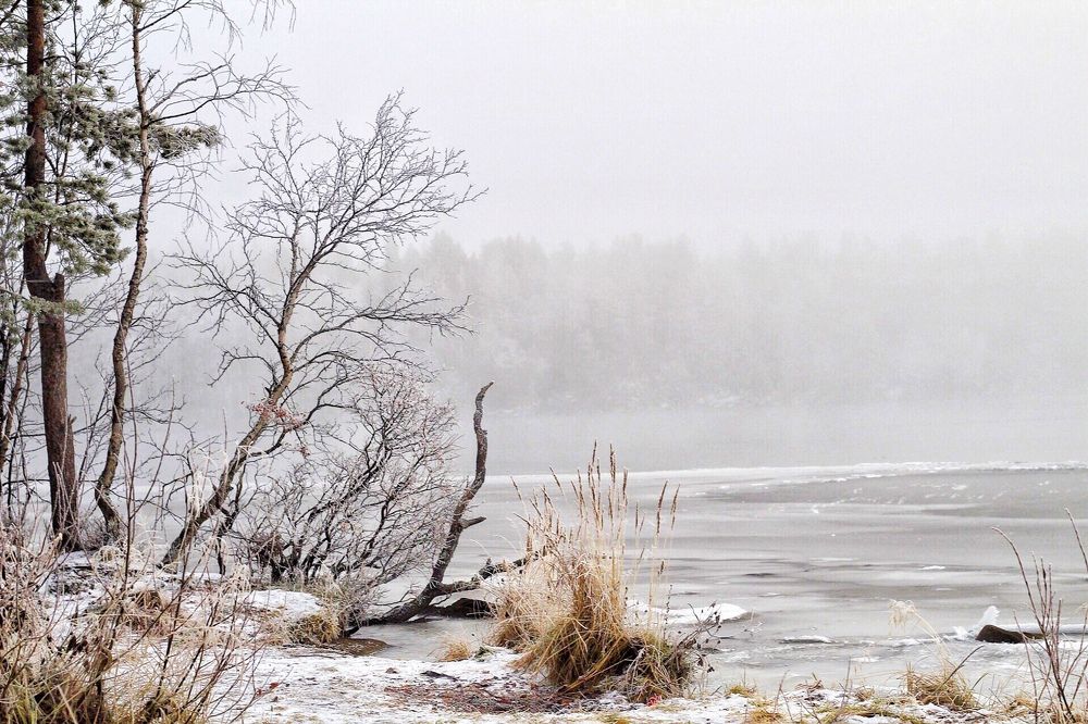 Photograph by Ирина