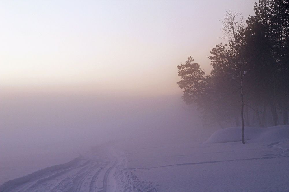 Photograph by Ирина