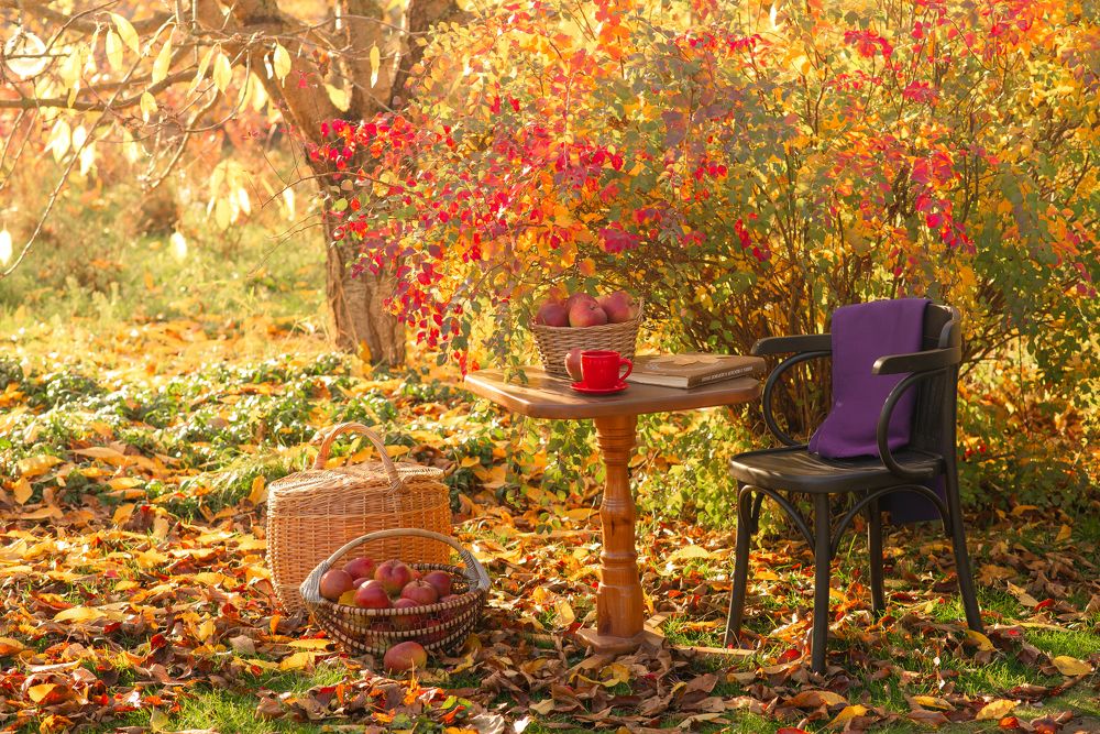 Фотография автора Надежда Черткова