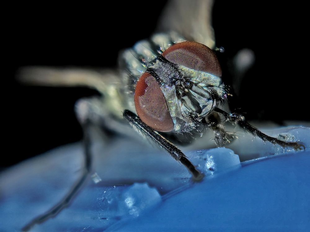 Photograph by Kate Maximenko