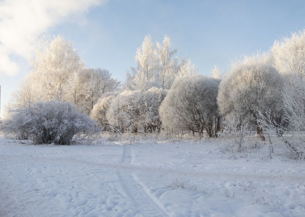 Фотография автора Наталья Липовская