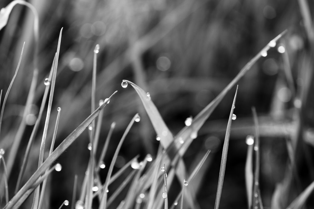 Photograph by Денис Ашуров