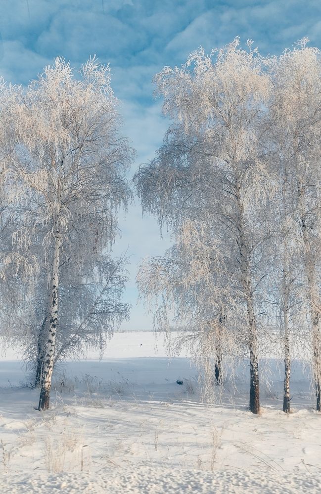 Photograph by Светлана Холодова