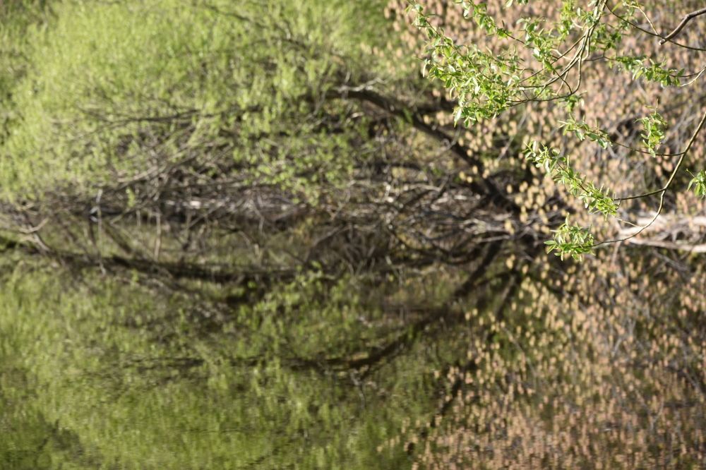 Photograph by Наталия Брянцева