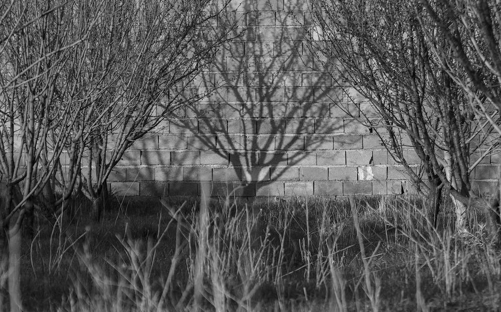 Photograph by mohammadjavad rostamiahmadvandi