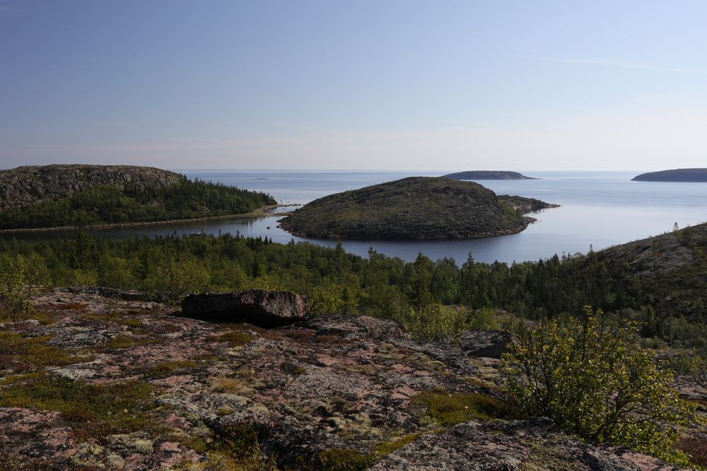 Немецкие Кузова.
