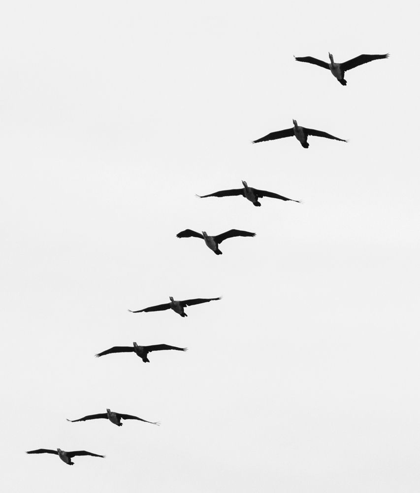 Photograph by mohammadjavad rostamiahmadvandi