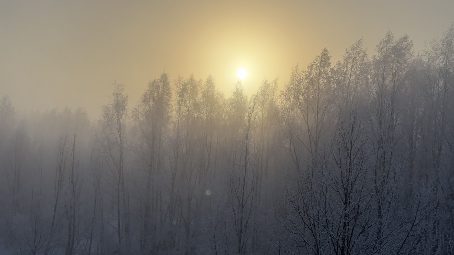 Photo #8506628