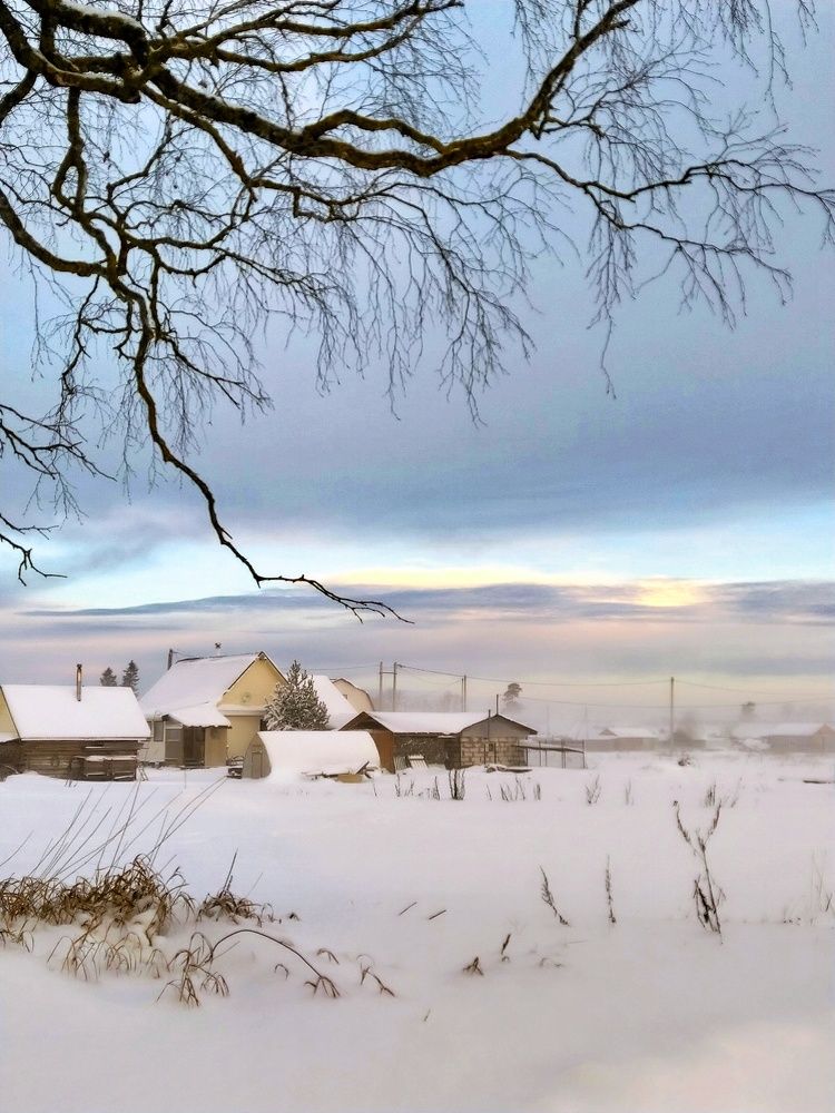 Photograph by Николай Мюллер