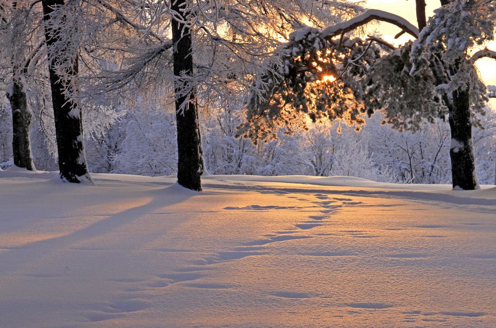 Photograph by Елена Маракулина