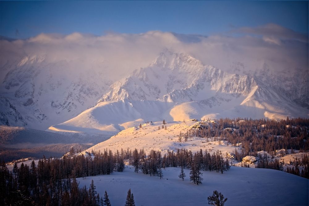 Photograph by Игорь Щербаков