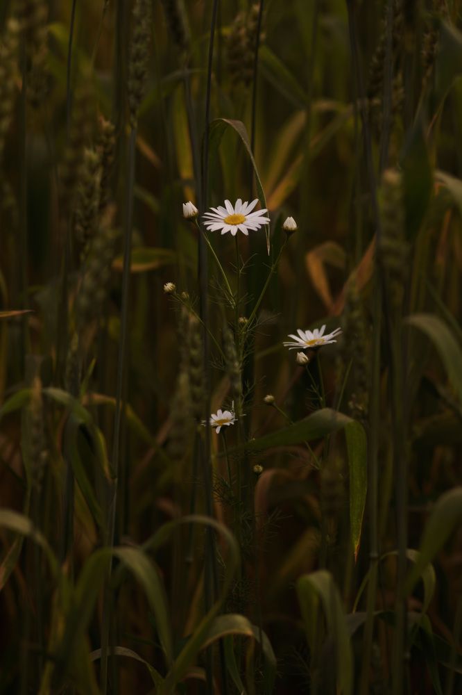 Photograph by Наталия Брянцева