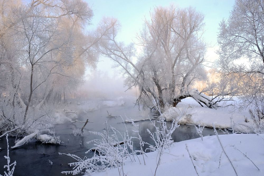 Photograph by Елена Маракулина