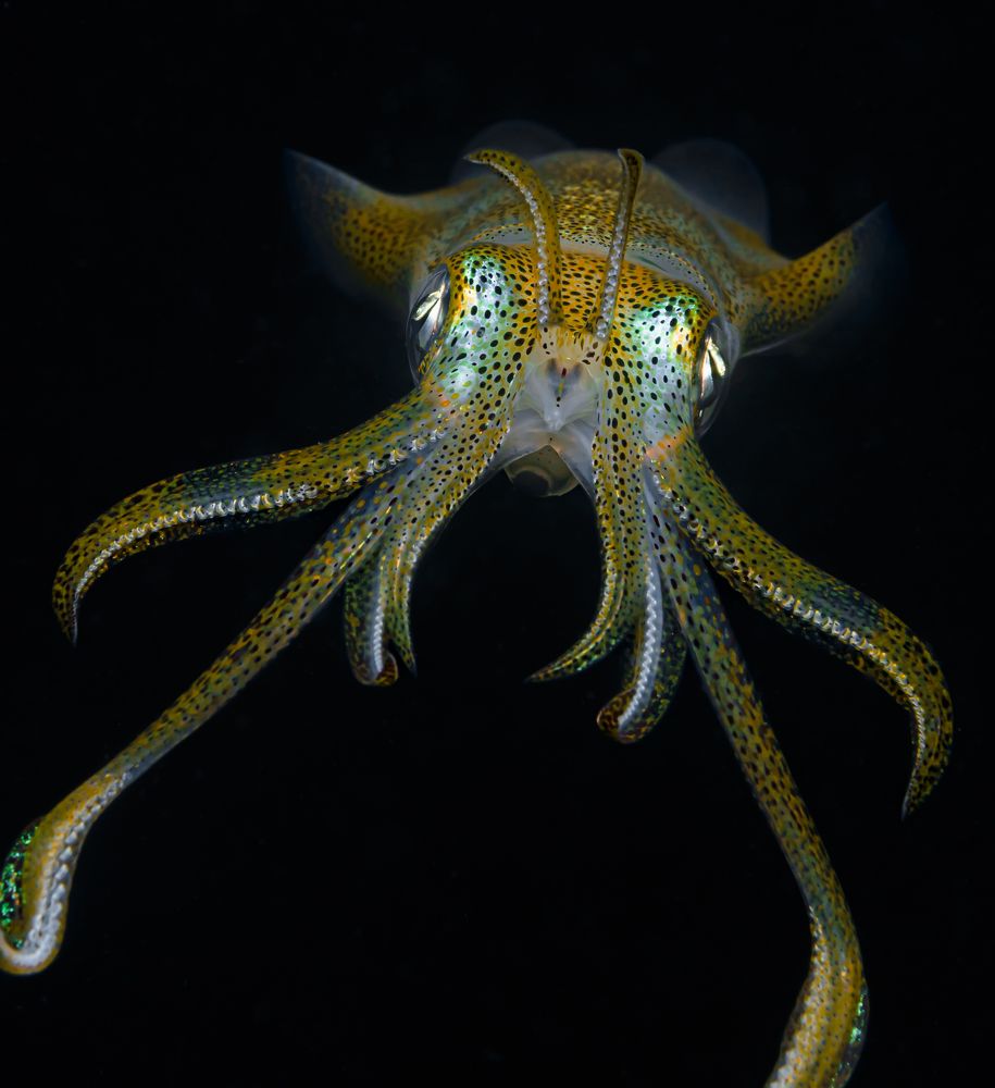 Photograph by Савин Андрей