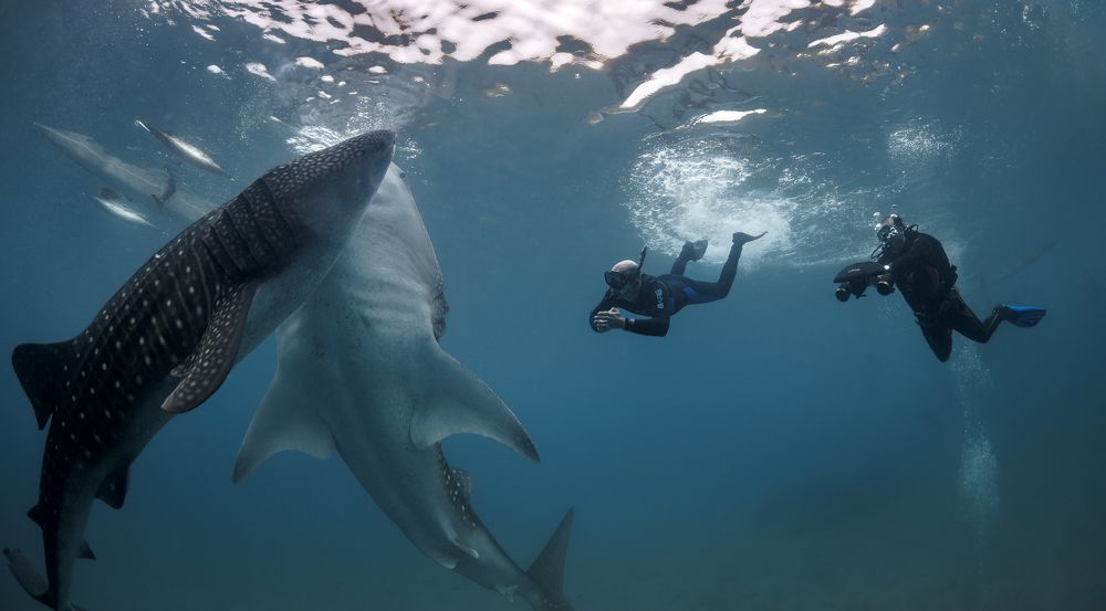 Photograph by Савин Андрей