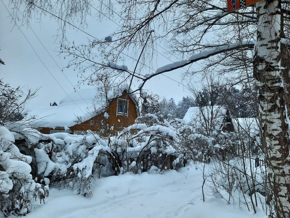 Зима в Подмосковье