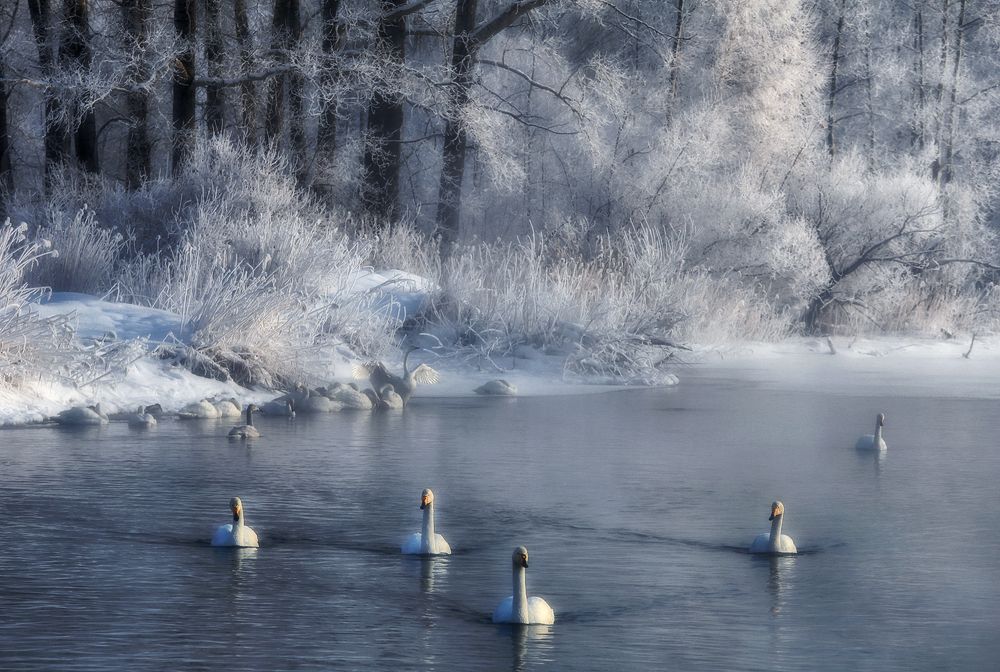 Photograph by Галина Хвостенко
