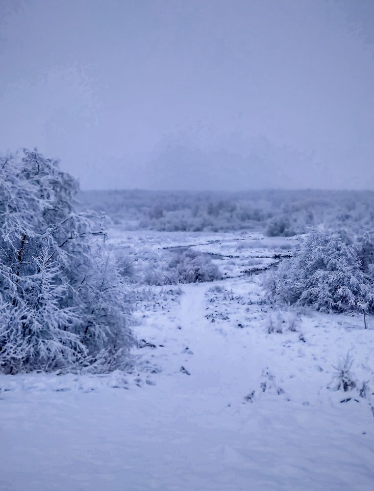 Photograph by Алексей Копылов