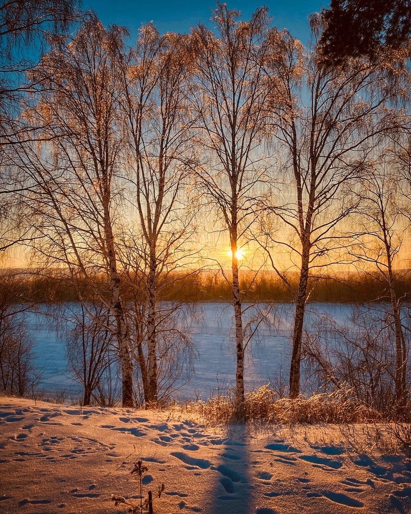 Photograph by Evgenia Privalova