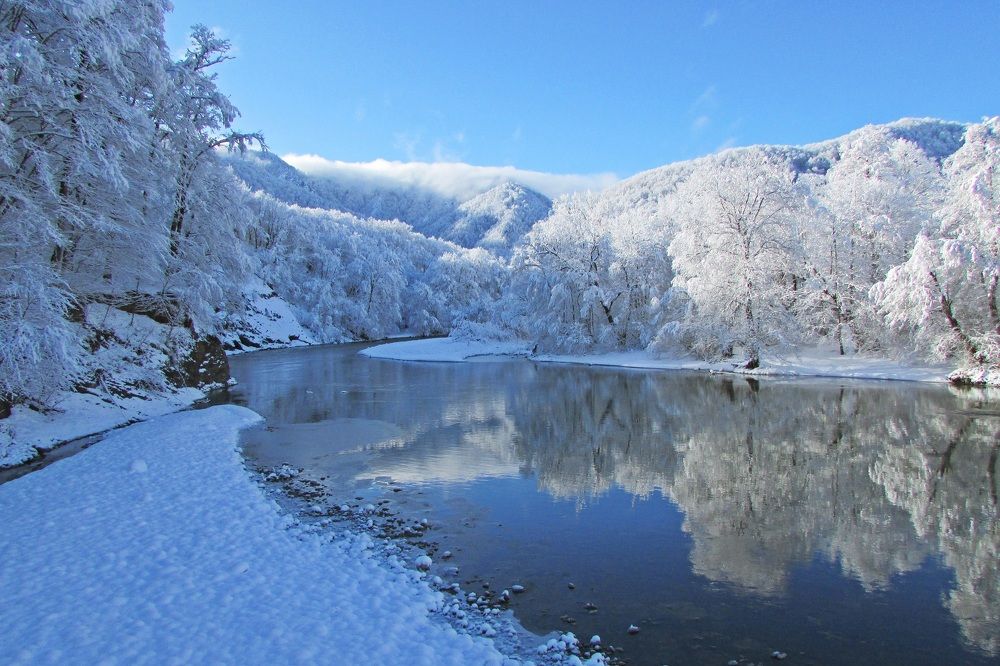 Photo #8506927