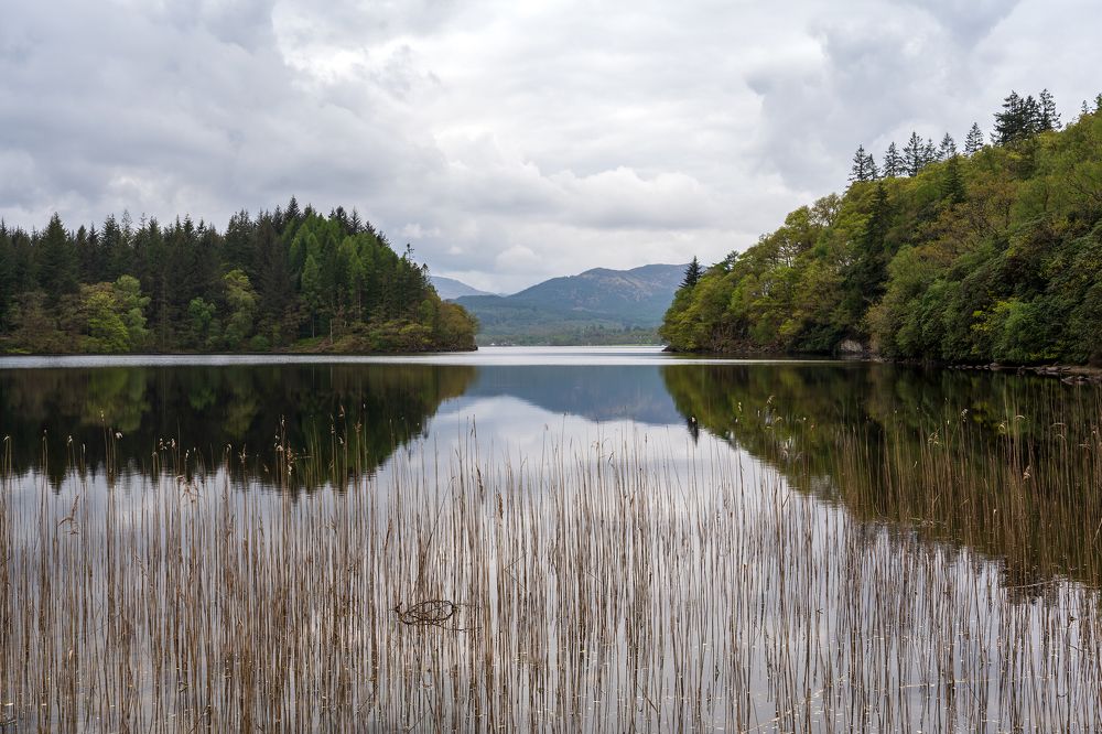 Photograph by Vladimir Kulikov