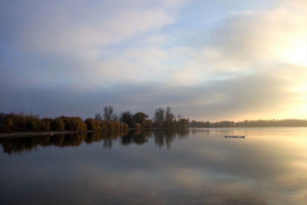 Фотография автора Татьяна Нарайкина