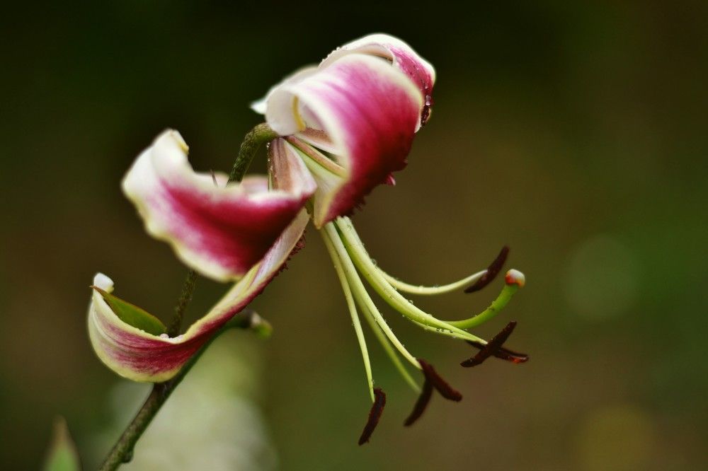 Photograph by Наталия Самкина