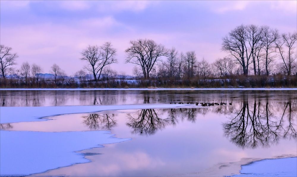 В Зимнем плену