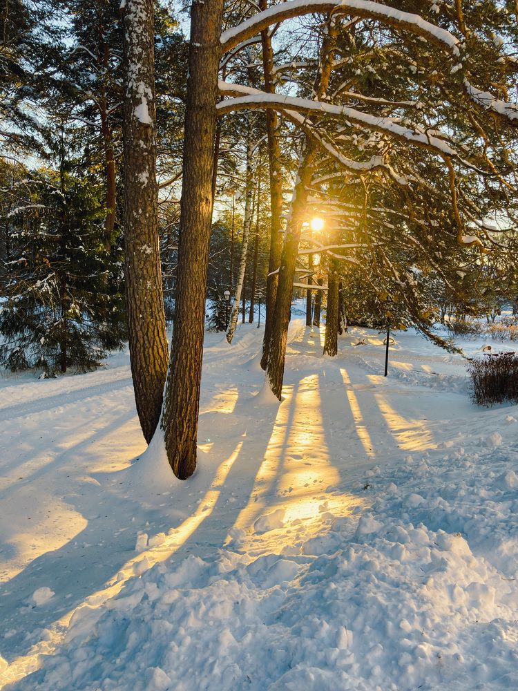 Photograph by Марина Короткова