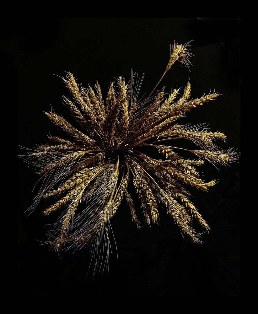 Photograph by Ольга Третьякова