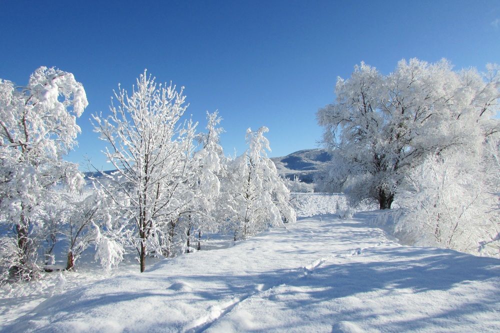Photo #8507031