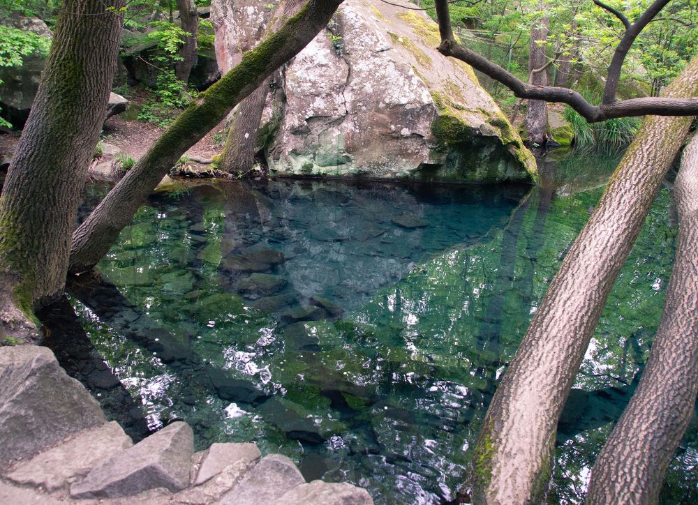 Photograph by Татьяна Громова