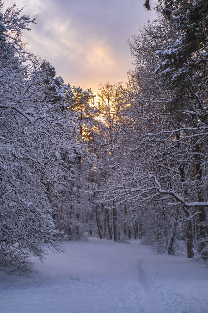 Photograph by Михеева Светлана