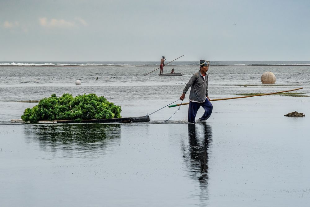 Photograph by Игорь Мурзенко