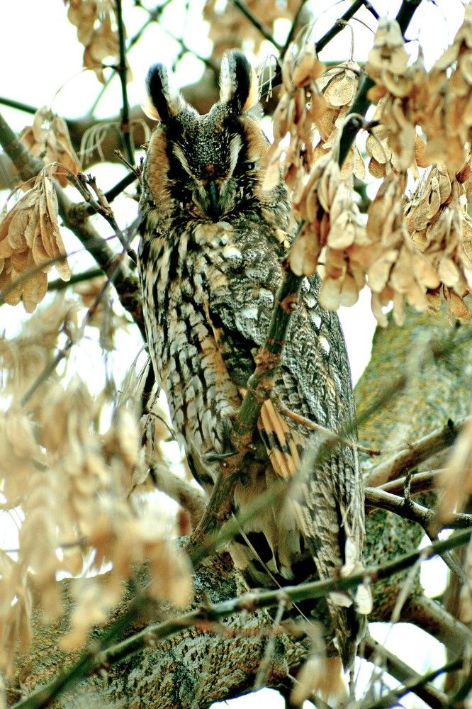 Photograph by Владислав Иопек