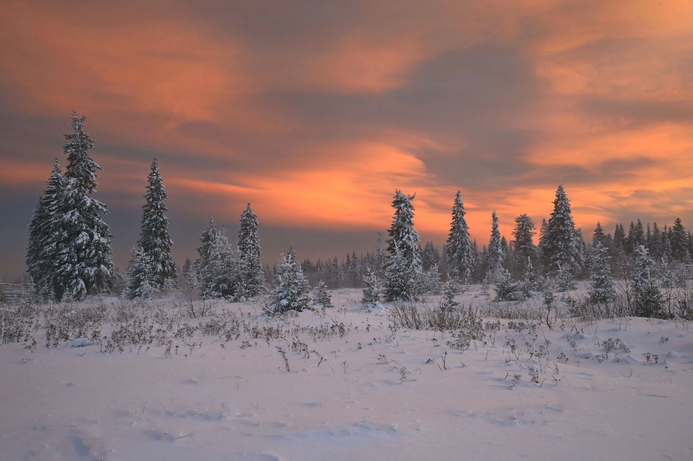 Photograph by Юрий Кетель