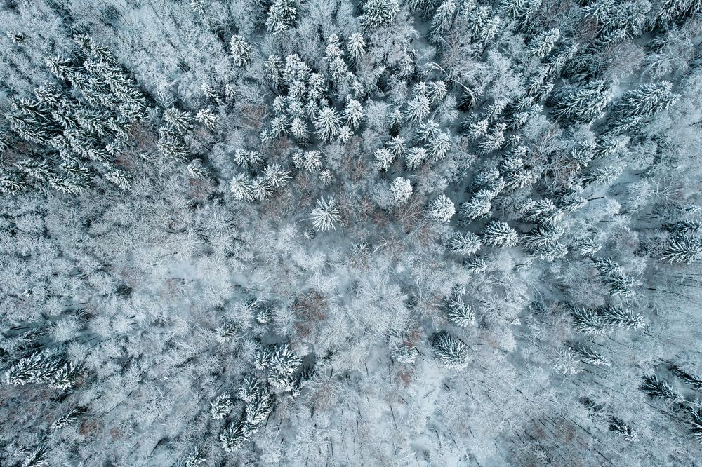 Photograph by Евгений Порсов