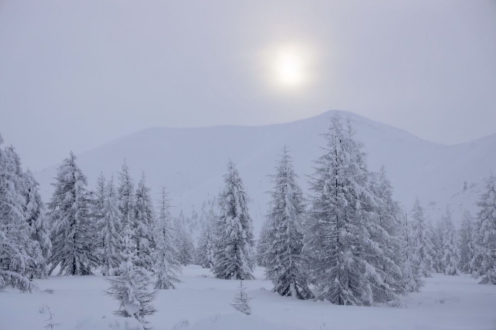 Photograph by Dmitriy Marchenko