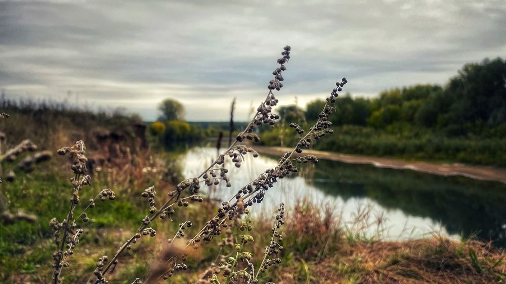 Photograph by Askar Kashapov