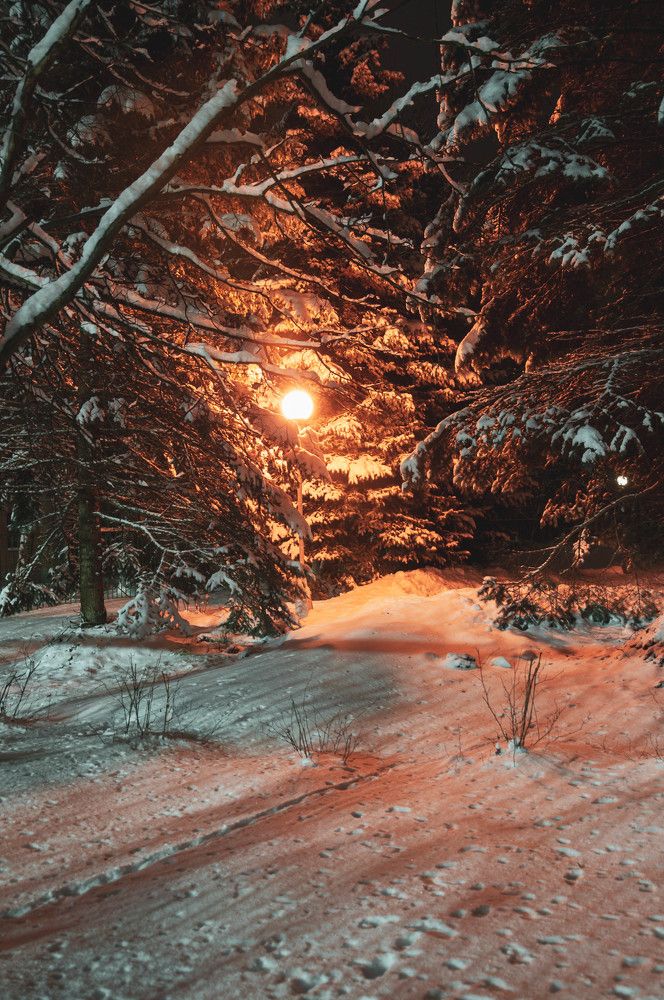 Фотография автора Виталий Дузь