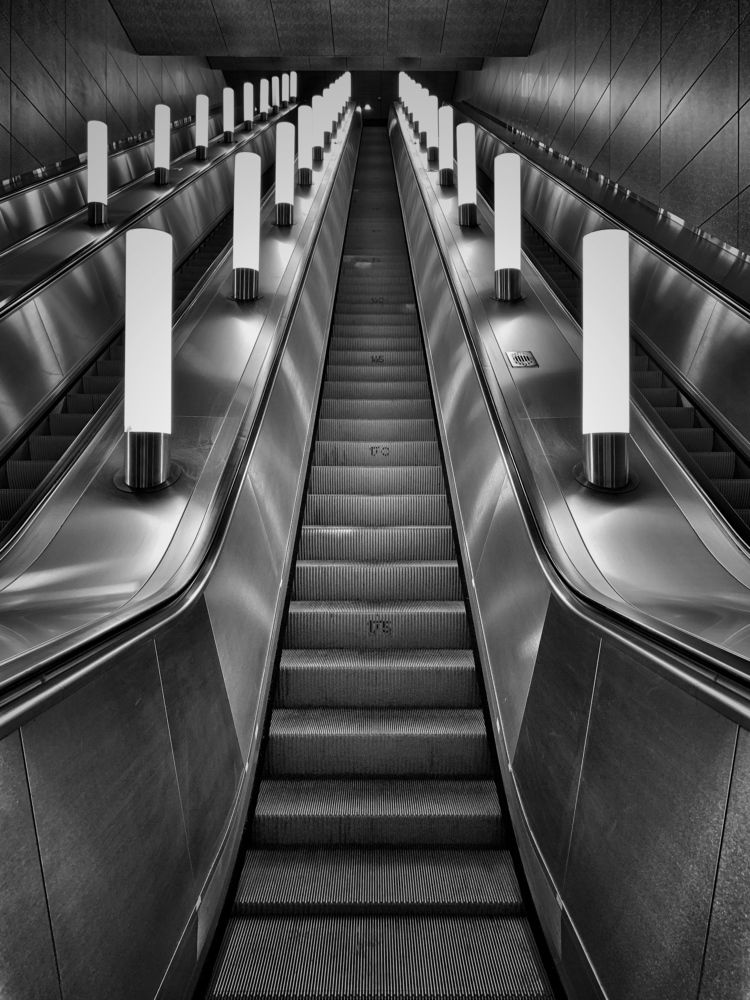 Photograph by Анна Чекирева