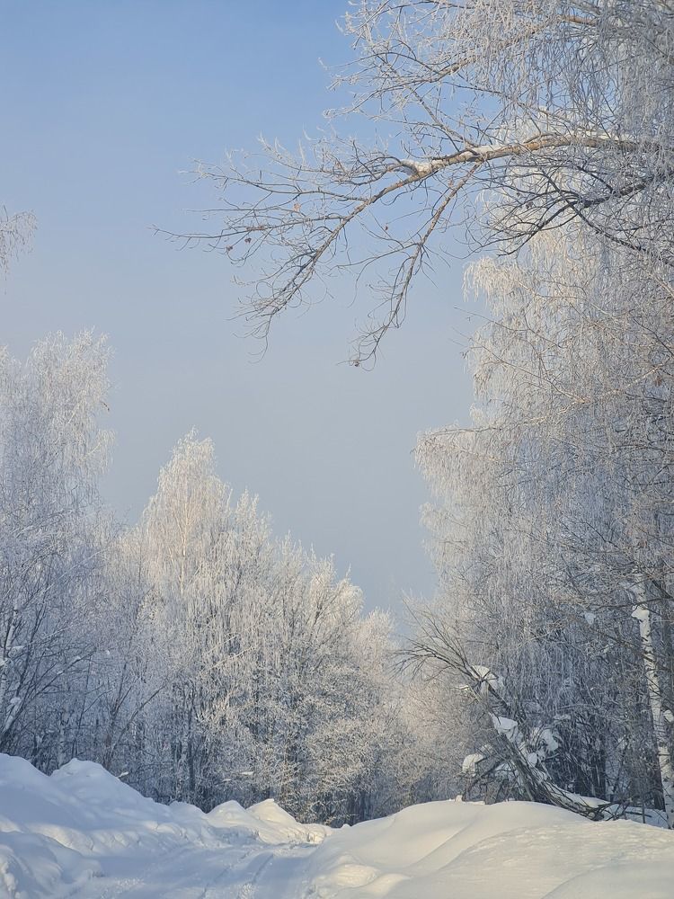 Photograph by Tatiana Denisova