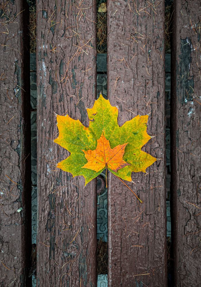 Photograph by Константин Панькин