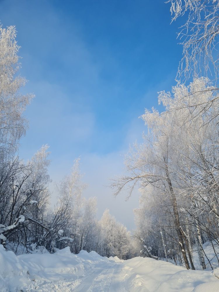 Photograph by Tatiana Denisova